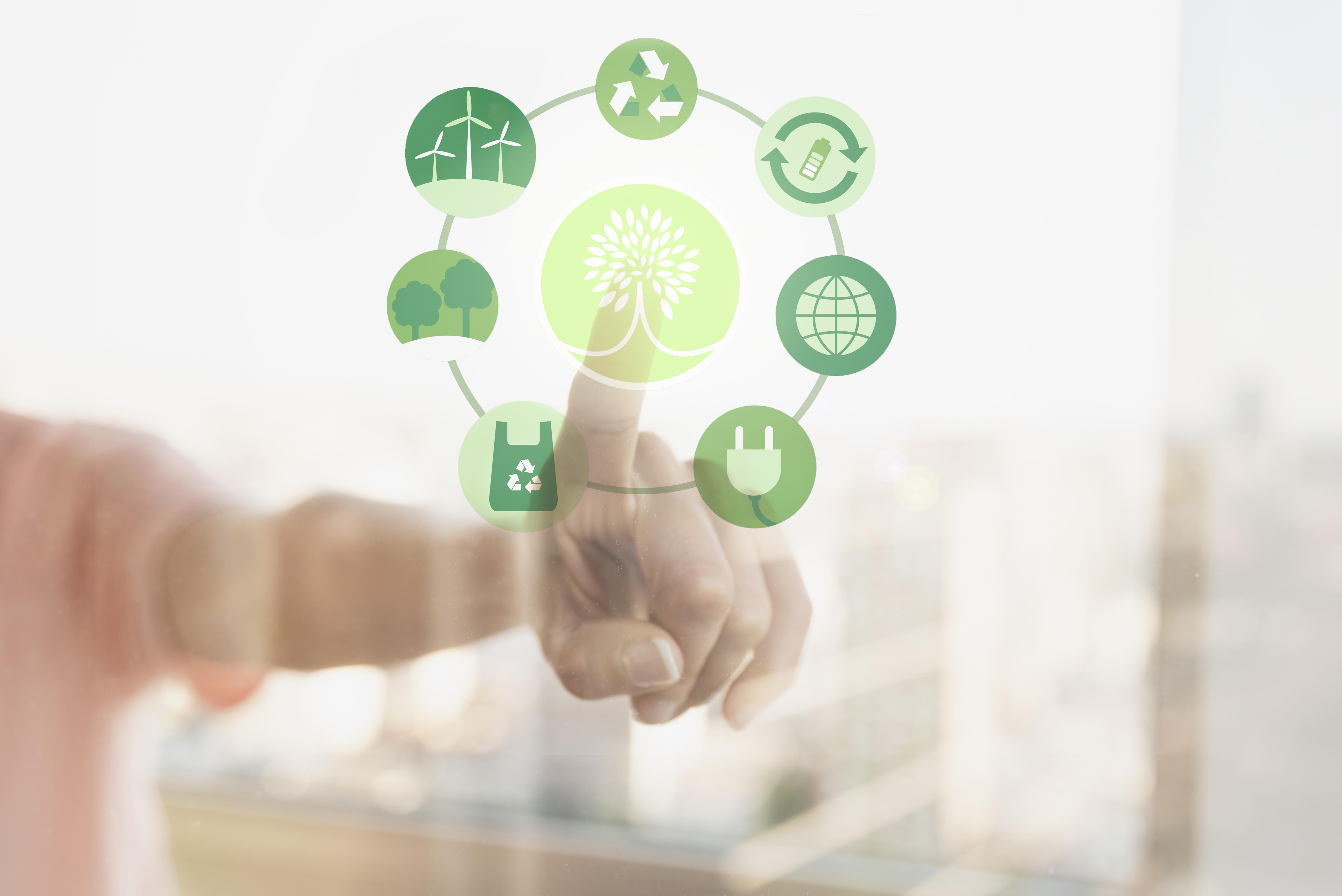 Carbon Neutrality